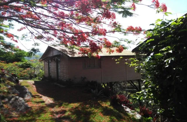 Hacienda Cocuyo Samana
